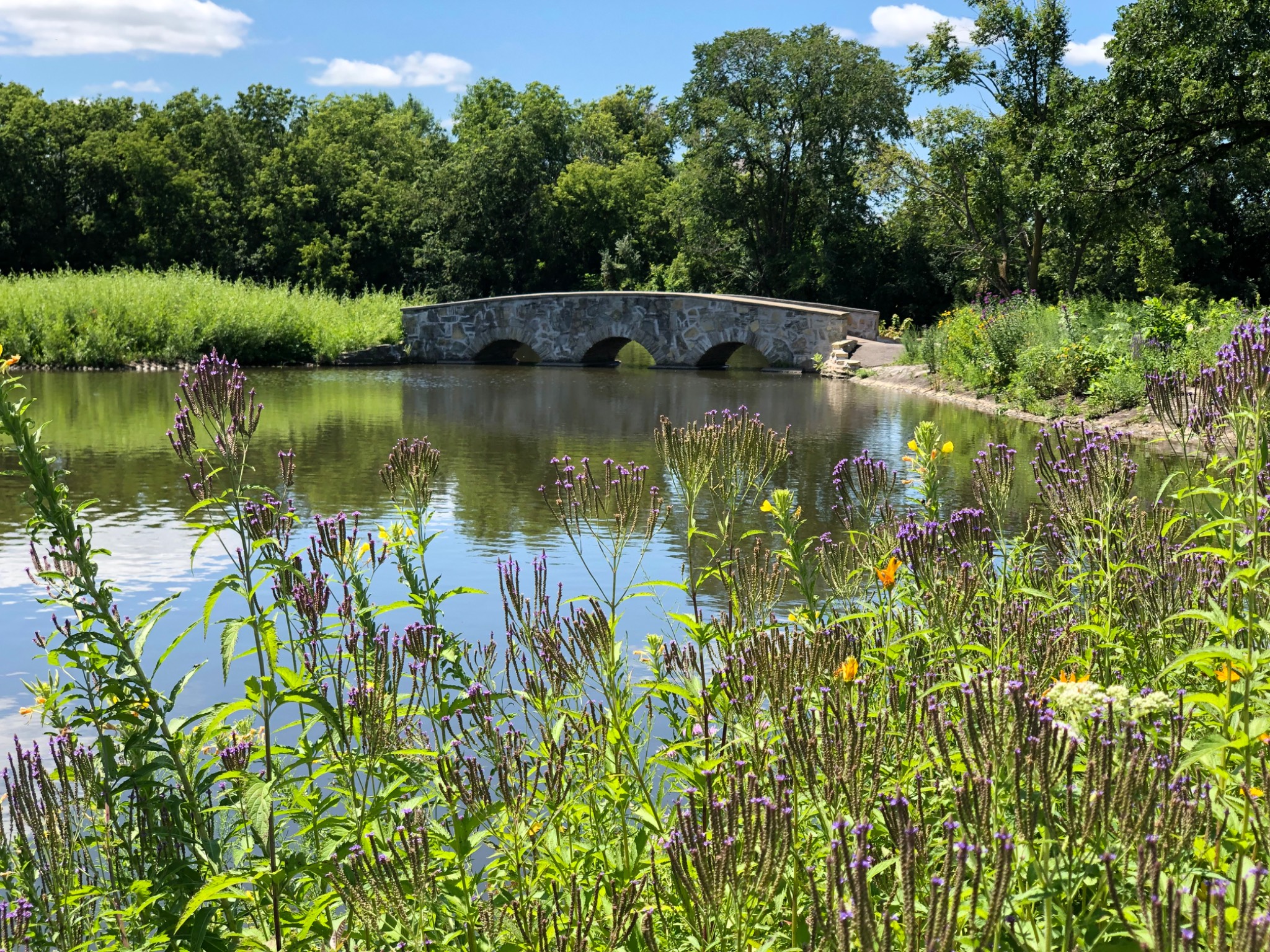 Kutsky Park